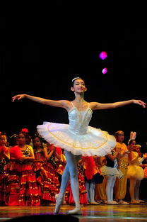 重庆江北舞蹈学校：点燃梦想之舞，成就艺术之梦