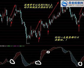 自编的通达信指标公式全部消失了？