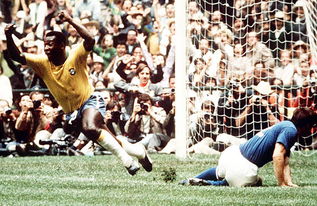1970年世界杯决赛:巴西4-1意大利 rmvb,2006年世界杯全场回放