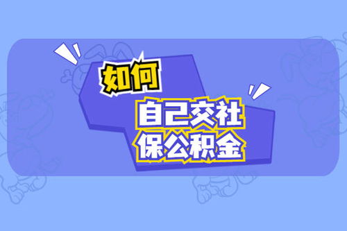  富邦保险官网怎么样靠谱吗,富邦保险官网——全面解析其靠谱程度 天富平台