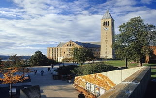 美国康奈尔大学 Cornell University