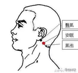 有些德州人入睡难,爱做梦,那就常按按 消梦穴 