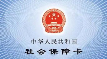 笔轩网查重功能-守护学术诚信的利器