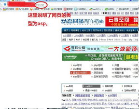aspjspphp之间的区别,asp、jsp、php：揭秘网页开发三剑客的魅力与差异