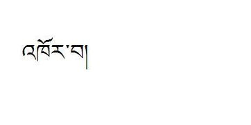 帮忙 翻译下 轮回 这个词的 藏文 谢谢 