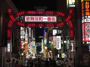 日本夜生活一条街 红灯区交易为合法行为,顾客花销需增缴税费