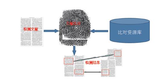 论文查重软件免费版，你真的了解吗？