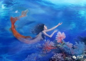 美人鱼公主电影,美人鱼公主:一场海洋与爱情的绚烂交响