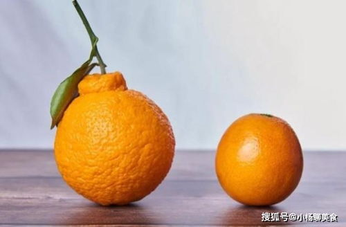 丑橘什么时候成熟,正宗的丑橘农历几月成熟？