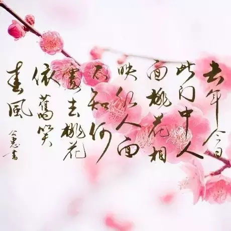 之乎者也丨为什么走桃花运,是 桃花 而不是别的花