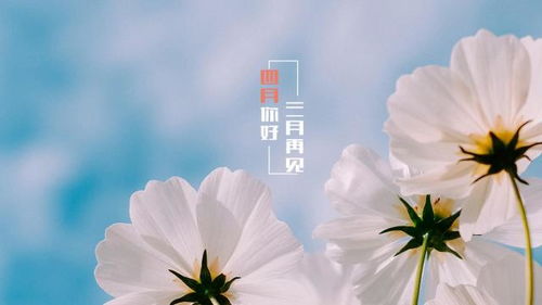 三月再见,春暖花开时