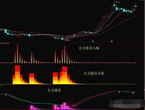 如何追踪主力资金