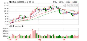 300002神州泰岳从上市到现在涨了多小倍