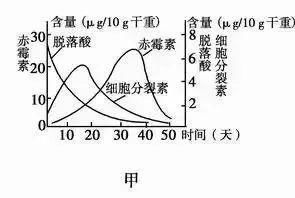 精选知识点 高中生物 满分资料 植物激素调节