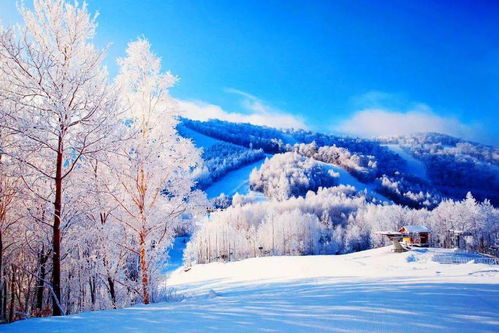 2晚 598长白山夏季避暑or冬日滑雪,全年不涨价 一价享客房 水乐园 温泉 缆车