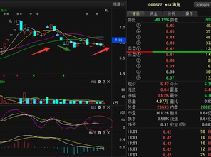 000677st海龙已经公布业绩预增，摘帽是肯定的了，问后市的发展趋势？