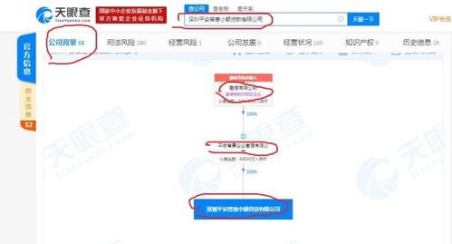 拟上市企业股权100%归实际控制人控制可以吗？