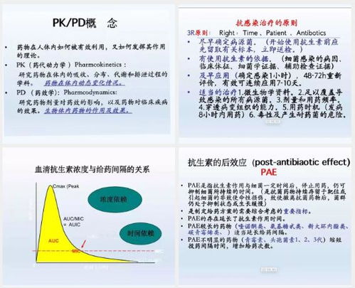 认识一轮查重：其目的与在学术写作中的重要性