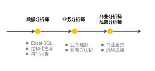 项目数据分析师发展前景如何