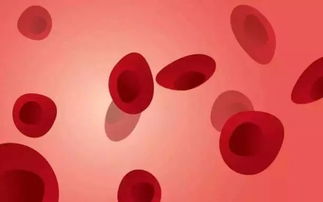 非经期出血 是什么原因 警惕4种可能