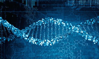 基因帮 对接工程师和需求方,搭建生信分析在线交易平台 