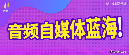 zhaosf人气爆棚，成为新宠自媒体!