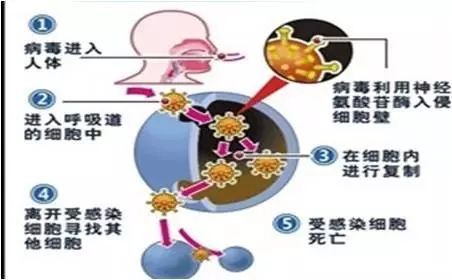 国内新型冠状病毒药物的研究有什么进展？