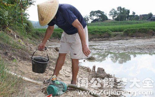 梦见抽水是什么意思 梦到抽水好不好 大鱼解梦网 