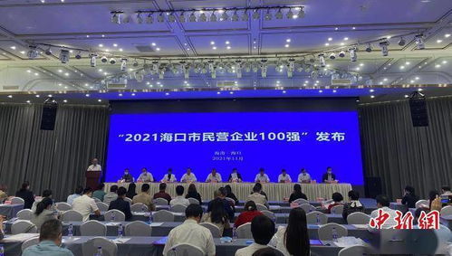 2021海口民营企业100强榜单发布