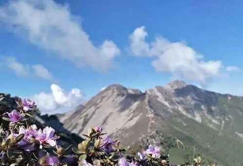 怎样从太白山下山回到西安？