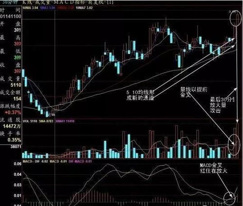 三分钟看懂股市：怎么用好资金面选股