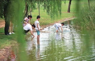 一搜造句—一到池塘边,我就被眼前的景色吸引住了写一句话？