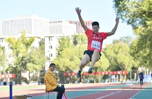 18所高校500运动员角逐首都高校第58届学生田径运动会