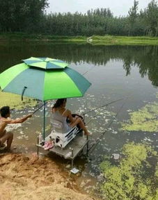 我们就一起来看看,牛粪对钓鱼的作用吧 自制饵料钓鲫鱼