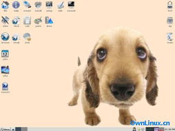 Puppy Linux 4.00 的中文支持包 