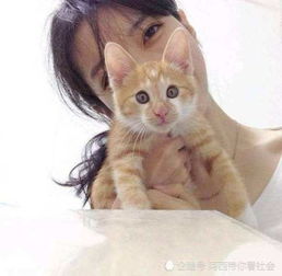 为什么女孩子喜欢养猫 猫咪把她们当知己的感觉,让她们无法自拔 