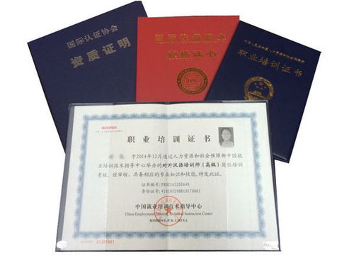 汉语汉语教师资格证 