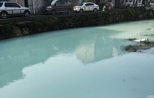 浙江温州一河道河水变奶绿色 