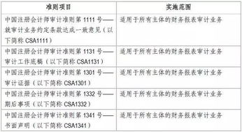 怎么查上市公司的标准审计报告年份