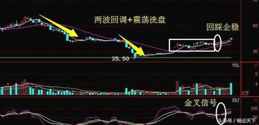 润欣科技属于那个板块