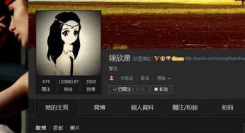 超女纪敏佳再整容变脸,还改名纪丹迪,但始终不火