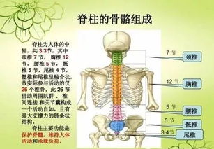 脊椎不健康,会引发100多种常见疾病,90 的人不知道