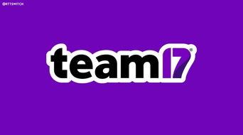  17teamƽ̨,ôŶѽ ְٿ