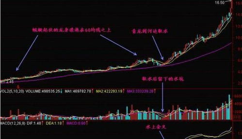 股市 谁来解释一下买入决是什么意思