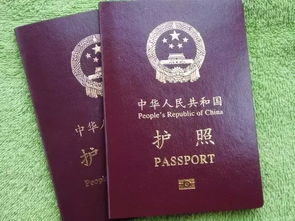 中国护照 含金量 提高 