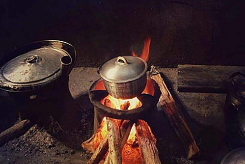 农村禁止烧煤烧柴,网友 冬天农民怎么取暖 农民 吃饭是个问题