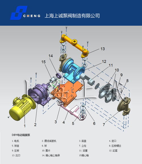 电动隔膜泵结构图（电动隔膜泵结构图分解）