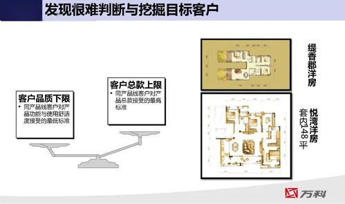 布局 万科城市布局及项目分析方法PPT