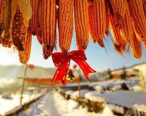 瑞雪兆丰年的意思