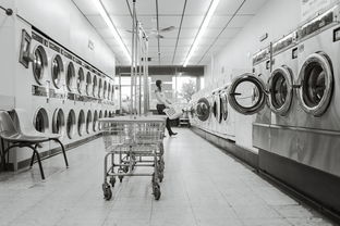 波轮洗衣机自己拆卸清洗：轻松上手，洁净如新